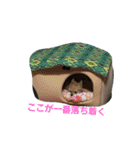 ペット 犬猫（個別スタンプ：25）