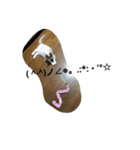 ペット 犬猫（個別スタンプ：31）