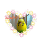 いえ郎のスタンプ(セキセイインコ)（個別スタンプ：3）