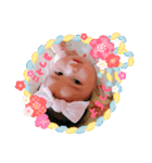 こゆたんのお正月（個別スタンプ：12）