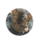 タロの日々（個別スタンプ：3）