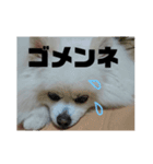 Milk's talk（個別スタンプ：5）
