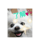 Milk's talk（個別スタンプ：6）