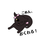 黒猫さくらちゃん（個別スタンプ：1）