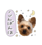 ちゃろんぼstamp (by hoho)（個別スタンプ：2）