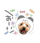 ちゃろんぼstamp (by hoho)（個別スタンプ：3）