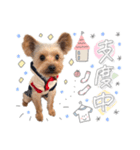 ちゃろんぼstamp (by hoho)（個別スタンプ：5）