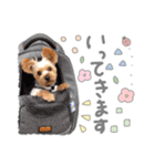 ちゃろんぼstamp (by hoho)（個別スタンプ：6）