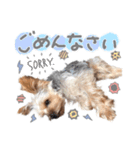 ちゃろんぼstamp (by hoho)（個別スタンプ：8）