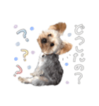 ちゃろんぼstamp (by hoho)（個別スタンプ：14）