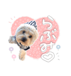 ちゃろんぼstamp (by hoho)（個別スタンプ：20）