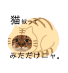 かわいいうちのねこ。（個別スタンプ：1）