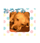 愉快なみんなのスタンプ（個別スタンプ：4）