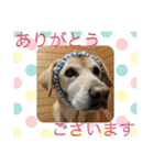 愉快なみんなのスタンプ（個別スタンプ：5）