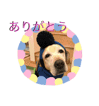 愉快なみんなのスタンプ（個別スタンプ：6）