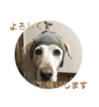 愉快なみんなのスタンプ（個別スタンプ：7）