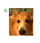 愉快なみんなのスタンプ（個別スタンプ：9）