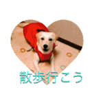 愉快なみんなのスタンプ（個別スタンプ：20）
