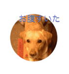 愉快なみんなのスタンプ（個別スタンプ：24）
