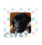 愉快なみんなのスタンプ（個別スタンプ：29）