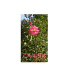 秋～冬に使えるスタンプです。（個別スタンプ：6）
