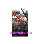 秋～冬に使えるスタンプです。（個別スタンプ：8）
