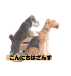 ひとみが作ったスタンプ（個別スタンプ：3）