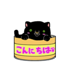猫缶「黒」（個別スタンプ：1）