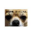 秀太郎さん！（個別スタンプ：1）