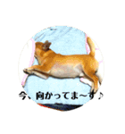 秀太郎さん！（個別スタンプ：3）