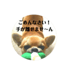 秀太郎さん！（個別スタンプ：15）