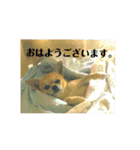 秀太郎さん！（個別スタンプ：20）