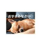 秀太郎さん！（個別スタンプ：24）