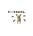 秀太郎さん！（個別スタンプ：31）