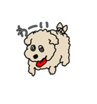 モコモコのイヌ（個別スタンプ：3）