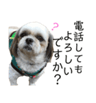 柴犬とシーズー犬のスタンプ 日常編（個別スタンプ：32）