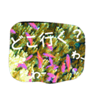 ダイバーの気持ち（個別スタンプ：2）