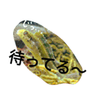 ダイバーの気持ち（個別スタンプ：5）
