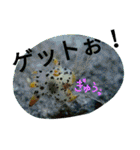 ダイバーの気持ち（個別スタンプ：9）