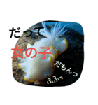 ダイバーの気持ち（個別スタンプ：20）