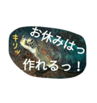 ダイバーの気持ち（個別スタンプ：23）