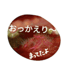 ダイバーの気持ち（個別スタンプ：30）