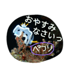 ダイバーの気持ち（個別スタンプ：31）