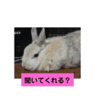 うさぎのち晴れ♪
時々⭐ちんちら②（個別スタンプ：2）