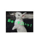 うさぎのち晴れ♪
時々⭐ちんちら②（個別スタンプ：4）