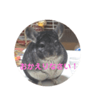 うさぎのち晴れ♪
時々⭐ちんちら②（個別スタンプ：6）