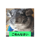 うさぎのち晴れ♪
時々⭐ちんちら②（個別スタンプ：9）