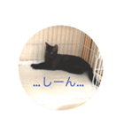 愛ネコ3（個別スタンプ：6）