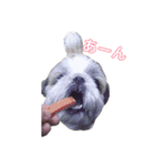aikenmayu（個別スタンプ：1）