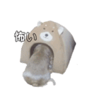 aikenmayu（個別スタンプ：12）